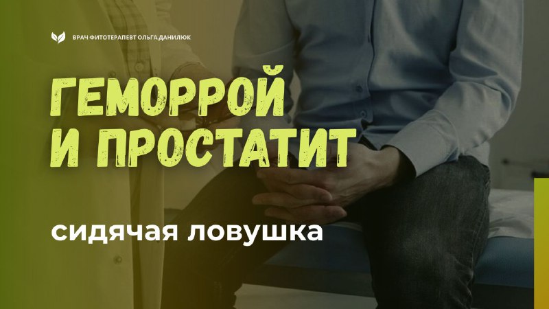 Как сидячий образ жизни вызывает геморрой и простатит и что с этим делать