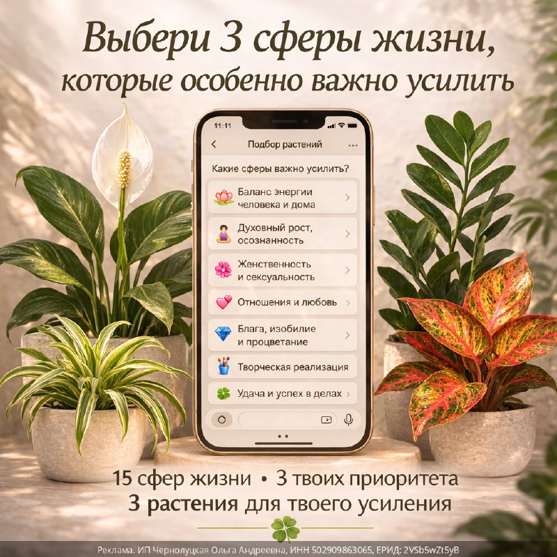 Как выбрать комнатные растения для улучшения разных сфер жизни