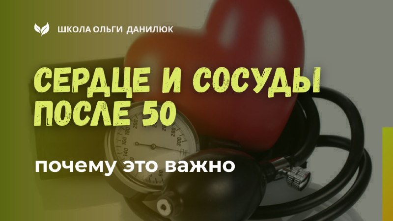 Как сохранить здоровье сосудов после 50 лет