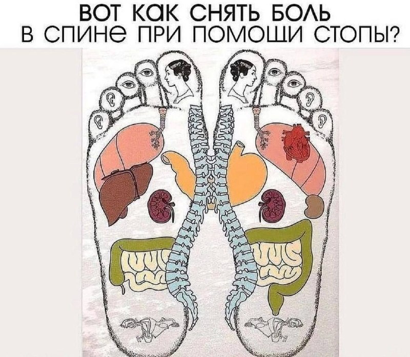 Эффективный способ снижения боли в спине с помощью массажа стопы