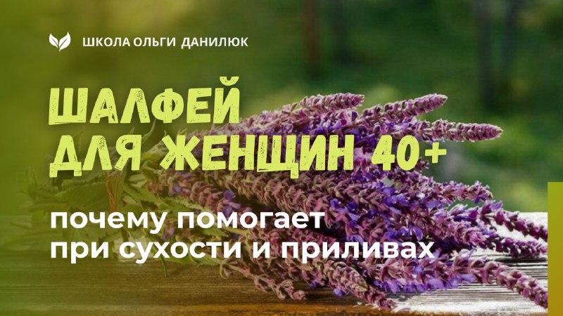 Шалфей для женщин 40+: как он помогает при сухости и приливах