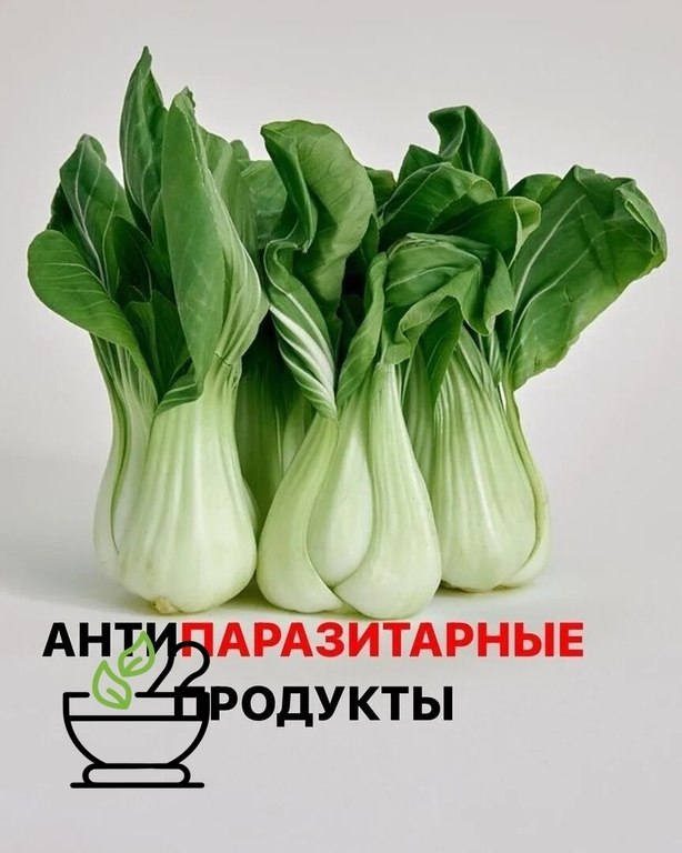 Противопаразитарное питание: какие продукты помогают защитить организм