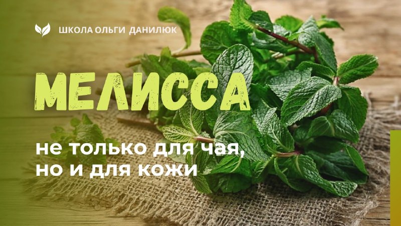 Мелисса для сна и кожи: как успокаивающее растение влияет на организм