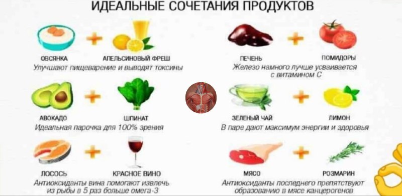 Какие пары продуктов усиливают пользу друг друга: яблоки с шоколадом и зелёный чай с лимоном