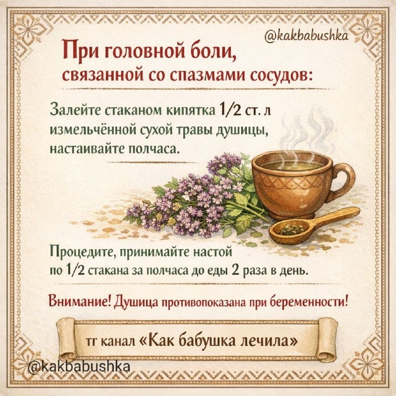 Душица обыкновенная при головной боли: свойства и противопоказания