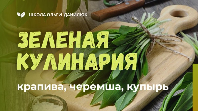 Первая весенняя зелень: крапива, черемша и купырь