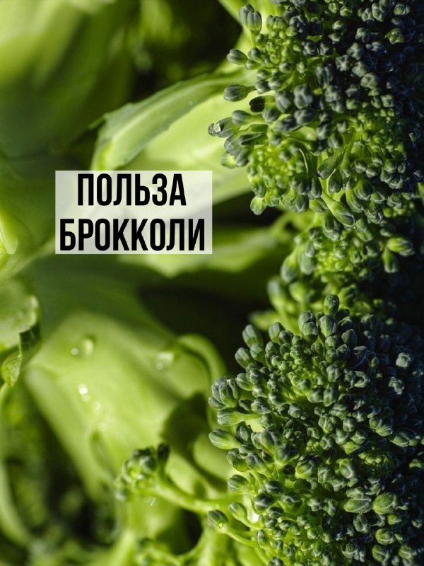 История и польза брокколи и цветной капусты