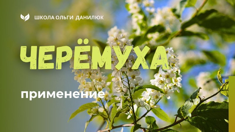Π§Π΅ΡΡΠΌΡΡ
Π°: ΡΠ²Π΅ΡΡΡΠ°Ρ ΠΊΡΠ°ΡΠΎΡΠ° ΠΈ ΠΏΠΎΠ»Π΅Π·Π½ΡΠ΅ ΡΠ²ΠΎΠΉΡΡΠ²Π° (ΠΈ Π²Π°ΠΆΠ½ΡΠ΅ ΠΌΠ΅ΡΡ Π±Π΅Π·ΠΎΠΏΠ°ΡΠ½ΠΎΡΡΠΈ)