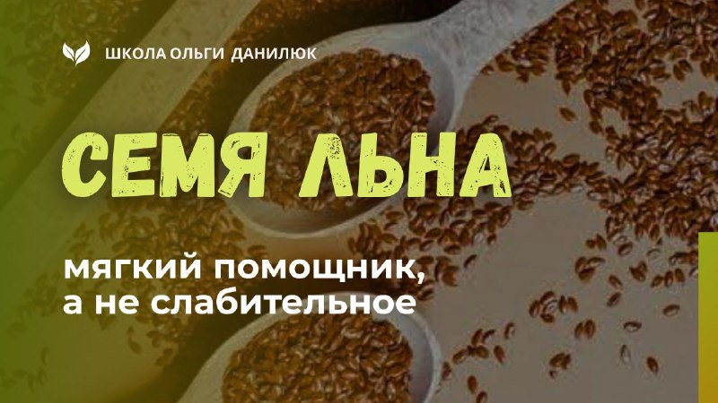 Льняное семя и расторопша: мягкое решение для работы кишечника
