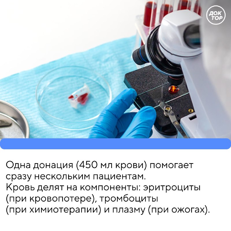 Всемирный день донора крови: важность регулярного донорства Всемирный день донора крови: важность регулярного донорства