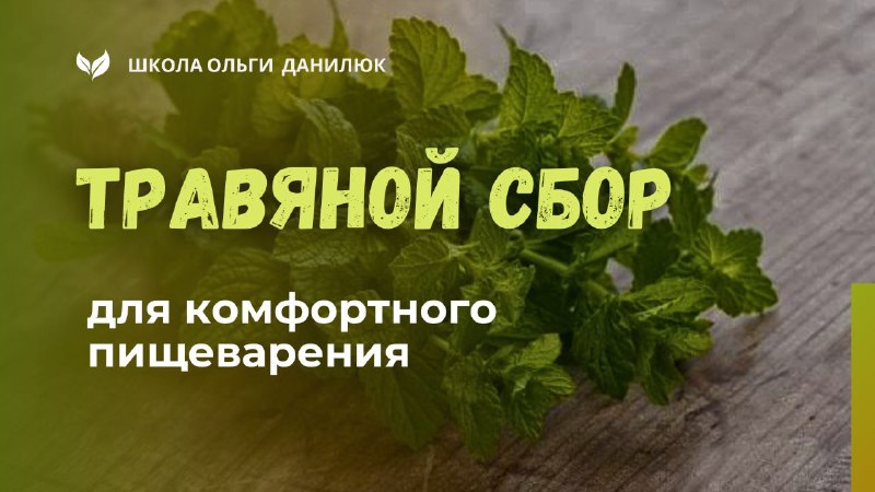 Травяной сбор для комфортного пищеварения