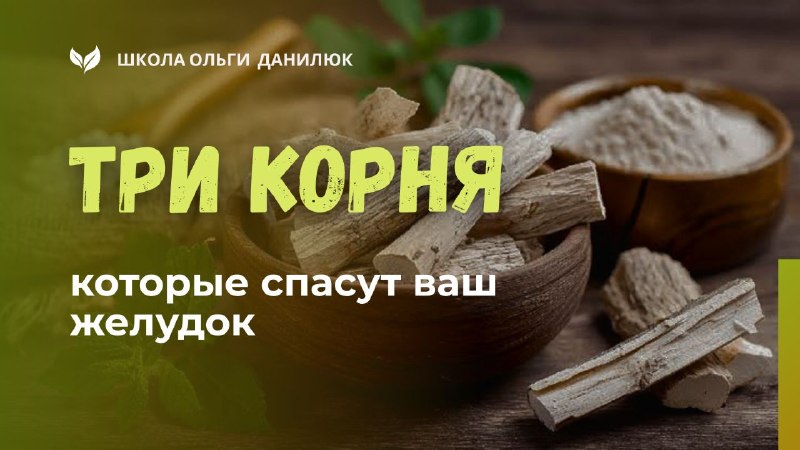 Три корня, которые спасут ваш желудок: аир, девясил, алтей