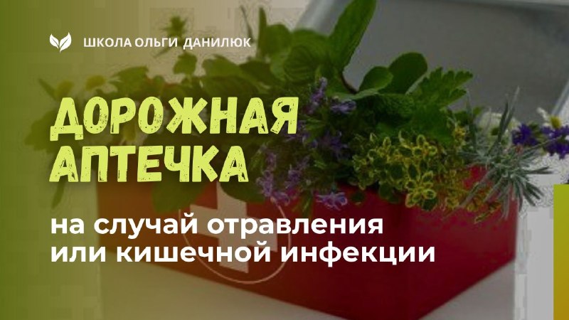 Как собрать компактную дорожную аптечку при отравлении