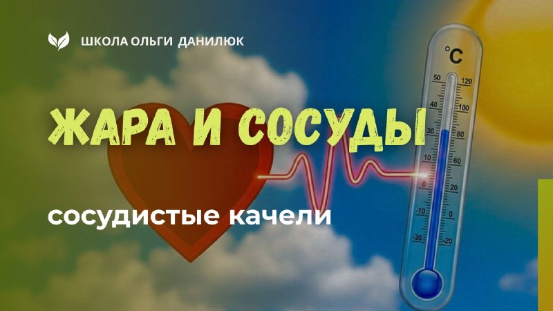 Жара и сосуды: травяная поддержка в летний зной