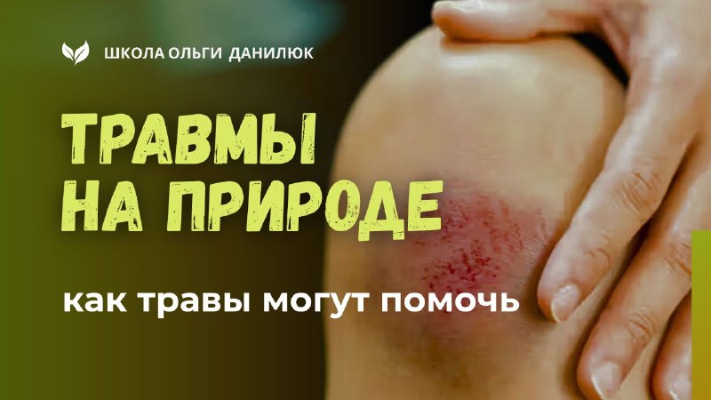 Травы для первой помощи на природе: останавливаем кровь и снимаем отек