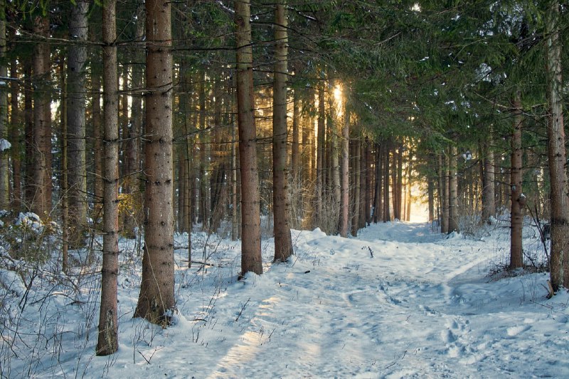 Полукорма, полухлебница и половина зимы