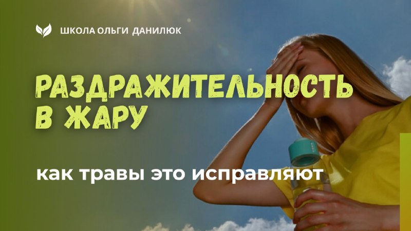 Как мята и кипрей помогают справиться с раздражительностью в жару