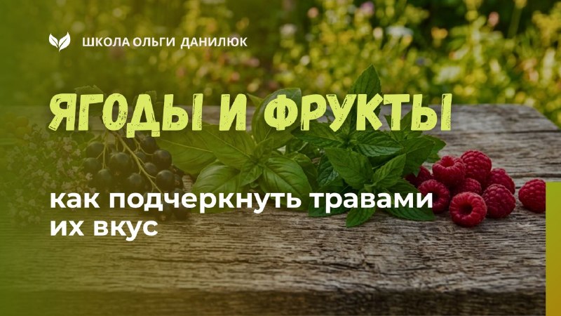 Как травы и пряности подчеркивают вкус ягод и фруктов