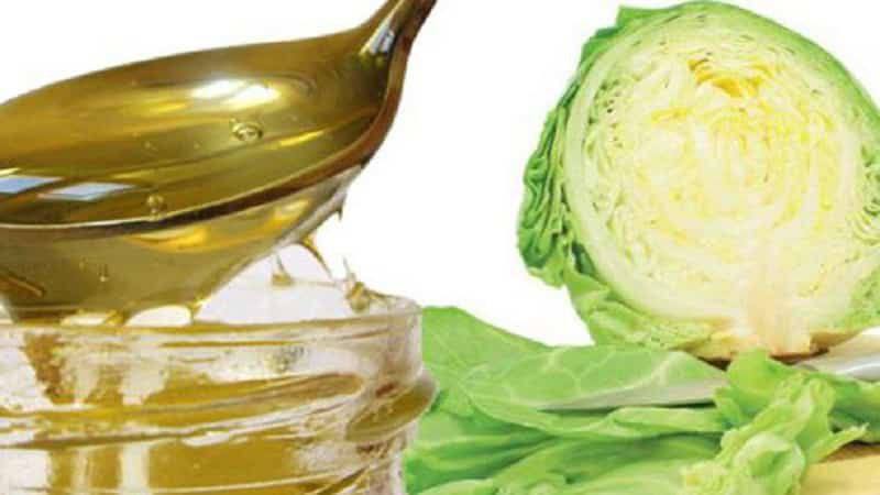 Народное средство от кашля: капустный лист с медом