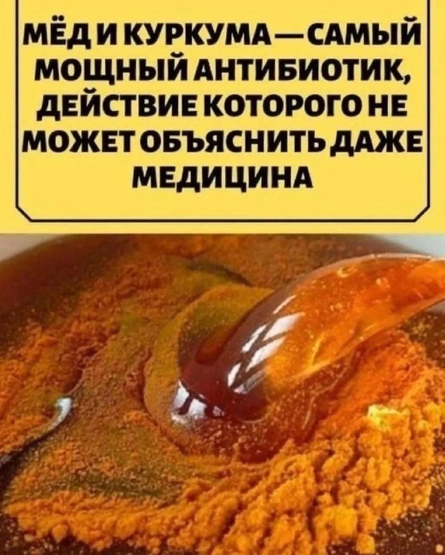 Мёд и куркума: природный антибиотик, который удивляет медицину