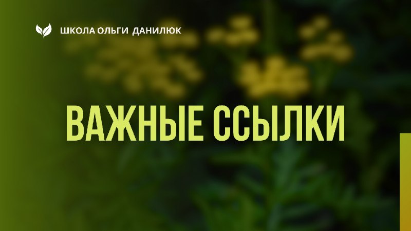 Важные ссылки Школы Ольги Данилюк