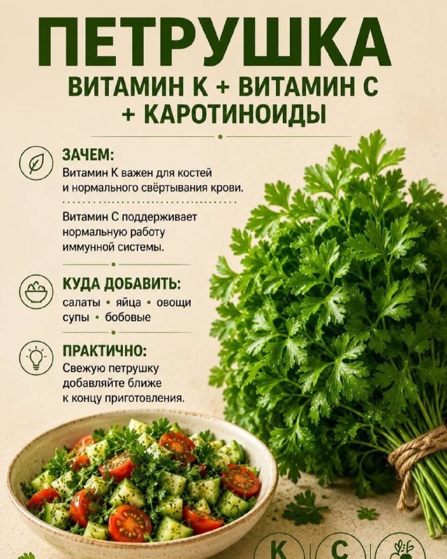 Полезные травы: 6 вариантов для ежедневного меню