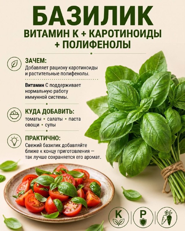 Полезные травы: 6 вариантов для ежедневного меню Полезные травы: 6 вариантов для ежедневного меню