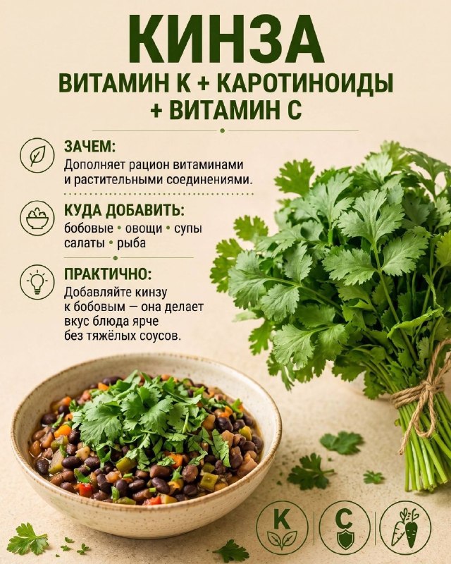 Полезные травы: 6 вариантов для ежедневного меню Полезные травы: 6 вариантов для ежедневного меню