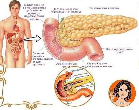 Как поддержать поджелудочную железу: два простых рецепта