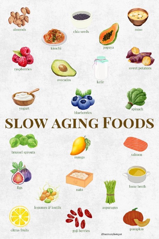 AGE-продукты: что такое гликация и как она ускоряет старение
