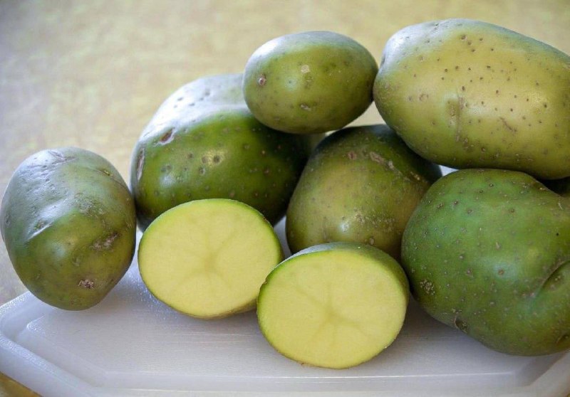 Опасный картофель: признаки, при которых его лучше выбросить