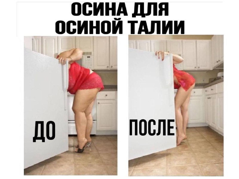 Кора осины для очищения организма и снижения тяги к сладкому
